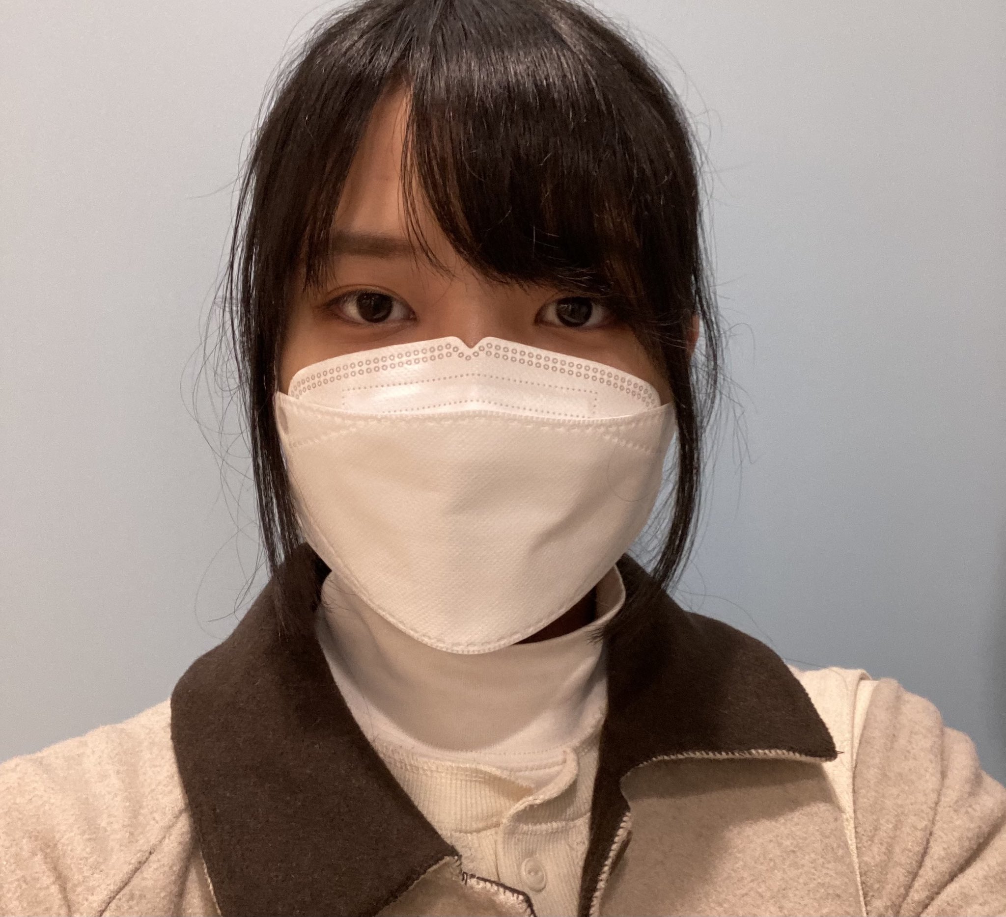 添付ファイルの画像